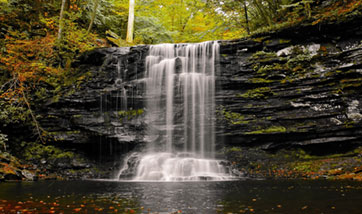 small waterfall in wooded area